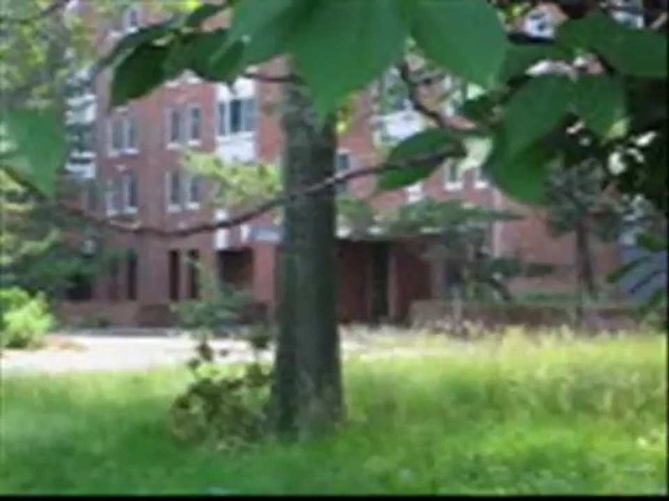 Florinda by Billy J Bryan & The Ax Grinders / Written by Robert Segarra