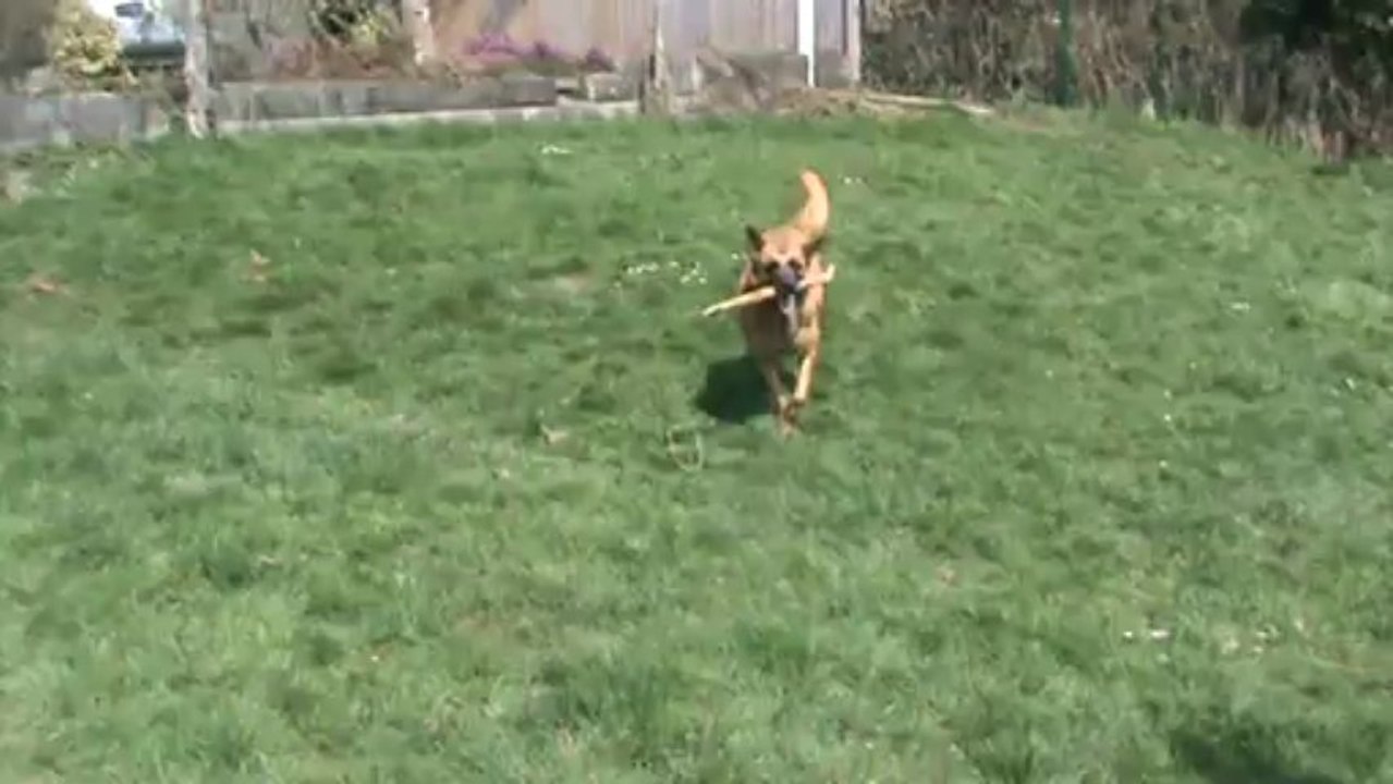SCOUBI FAIT DES PROGRES