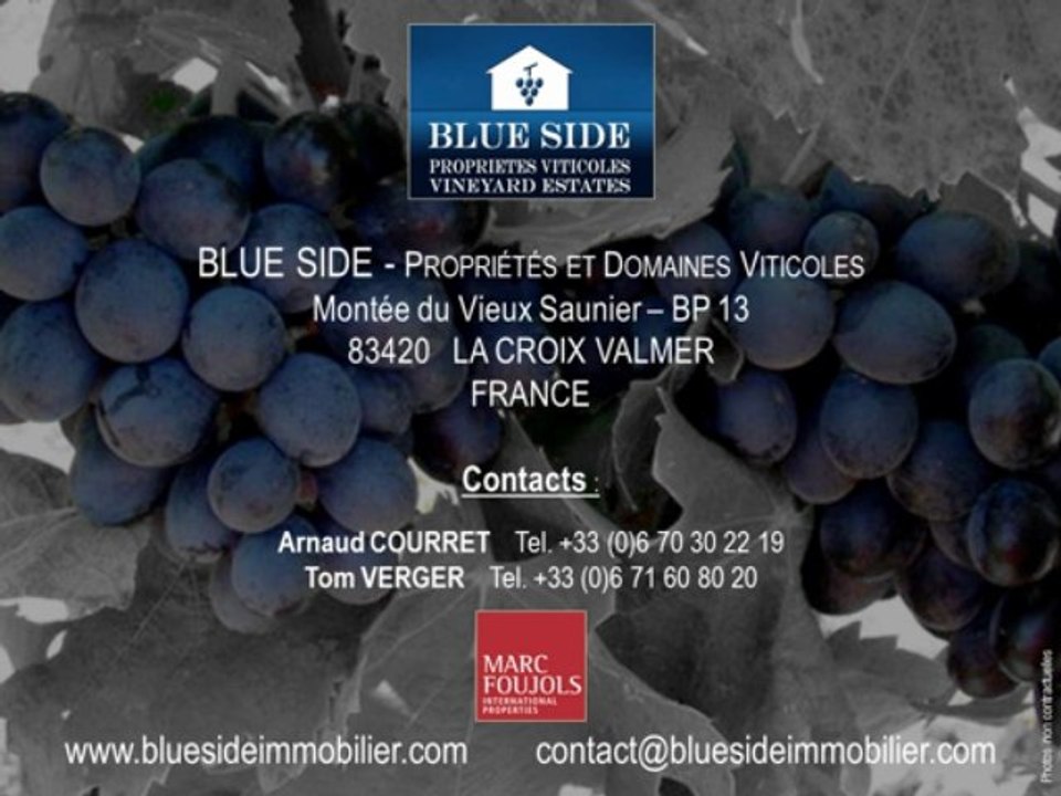 PROPRIETES ET DOMAINES VITICOLES A VENDRE, ACHAT VENTE VIGNOBLES, PACA, PROVENCE, VAR, ST-TROPEZ