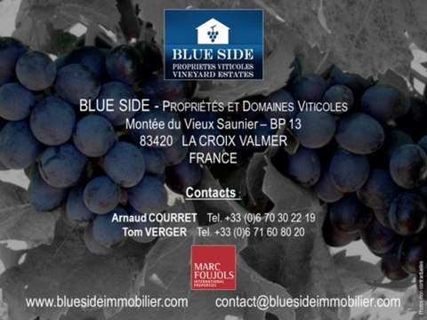 PROPRIETES ET DOMAINES VITICOLES A VENDRE, ACHAT VENTE VIGNOBLES, PACA, PROVENCE, VAR, ST-TROPEZ