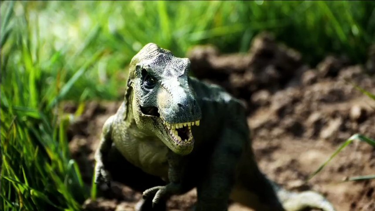 le pays des dinos