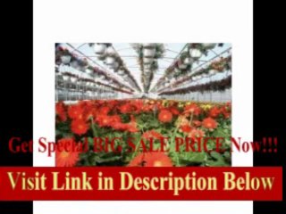 [REVIEW] Expansion Mansion Polyethylene and Polycarbonate Commercial Greenhouse Size / Span: 11'4 H x 42' W x 120' D with...