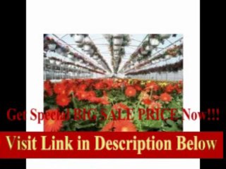 [REVIEW] Expansion Mansion Polyethylene and Polycarbonate Commercial Greenhouse Size / Span: 11'4 H x 42' W x 120' D with...