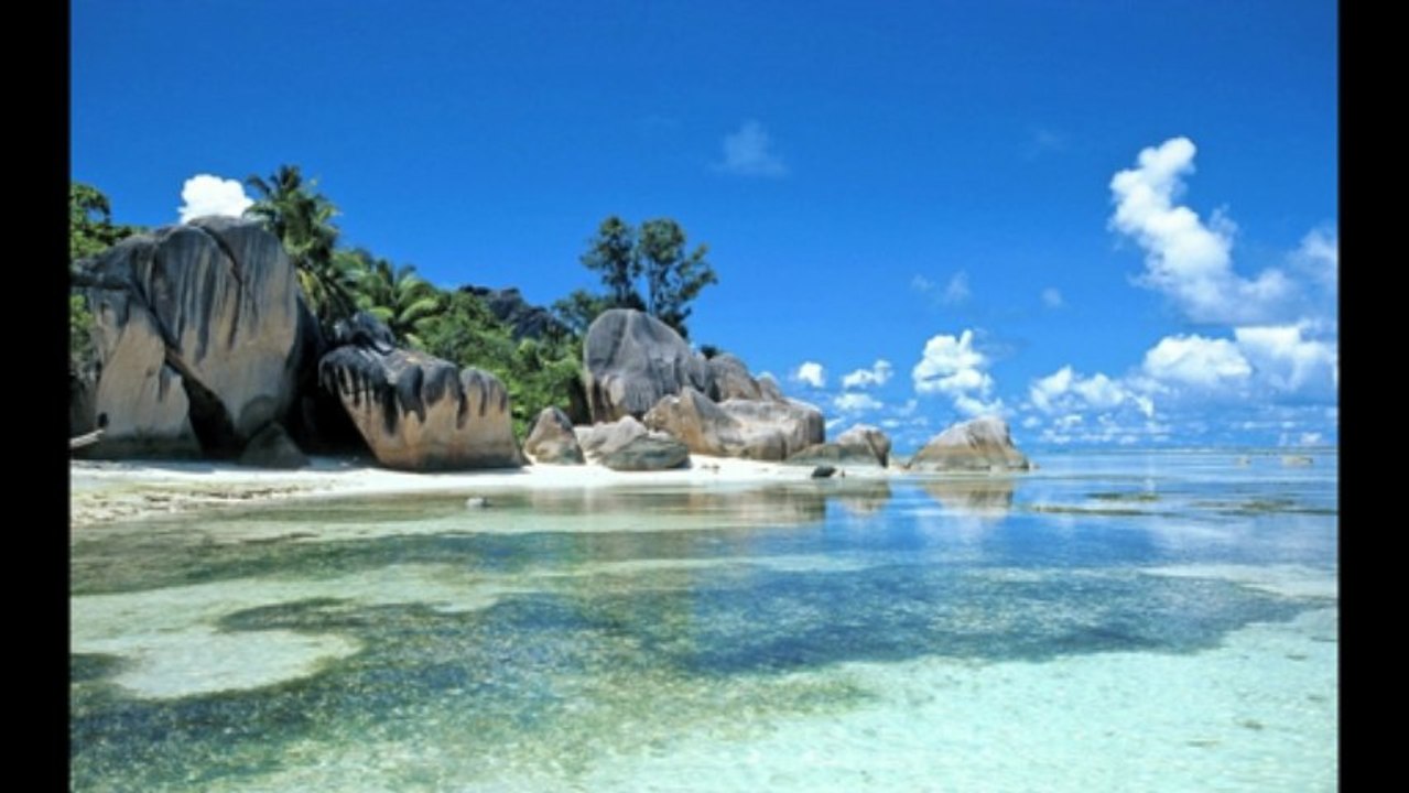 L'Afrique Mon Amour