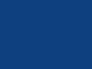 Google Nexus 7 Tablet (16 GB)