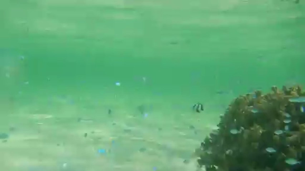 DSCN0312