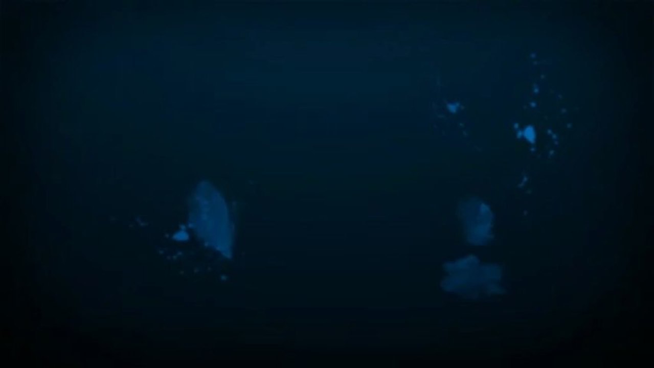 Las Vegas Web Design