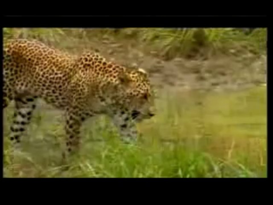 Tripgotrip Review | Wild-Life Plants Botanical-Gardens