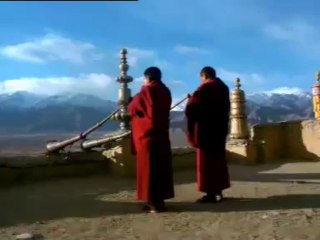 Travel portal India | Tripgotrip Best Reviews