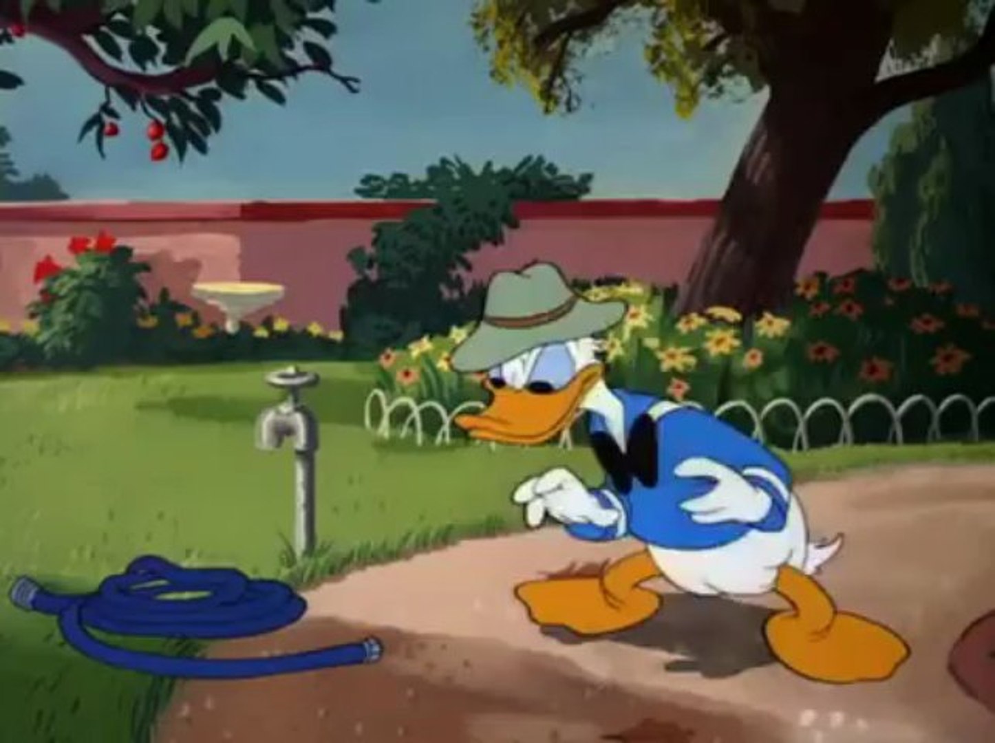 Donald Duck - The Greener Yard - Dailymotion Video