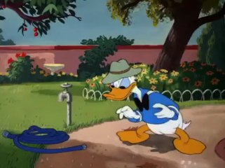 Donald Duck - The Greener Yard