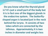 What You Need To Know About the Thyroid Gland