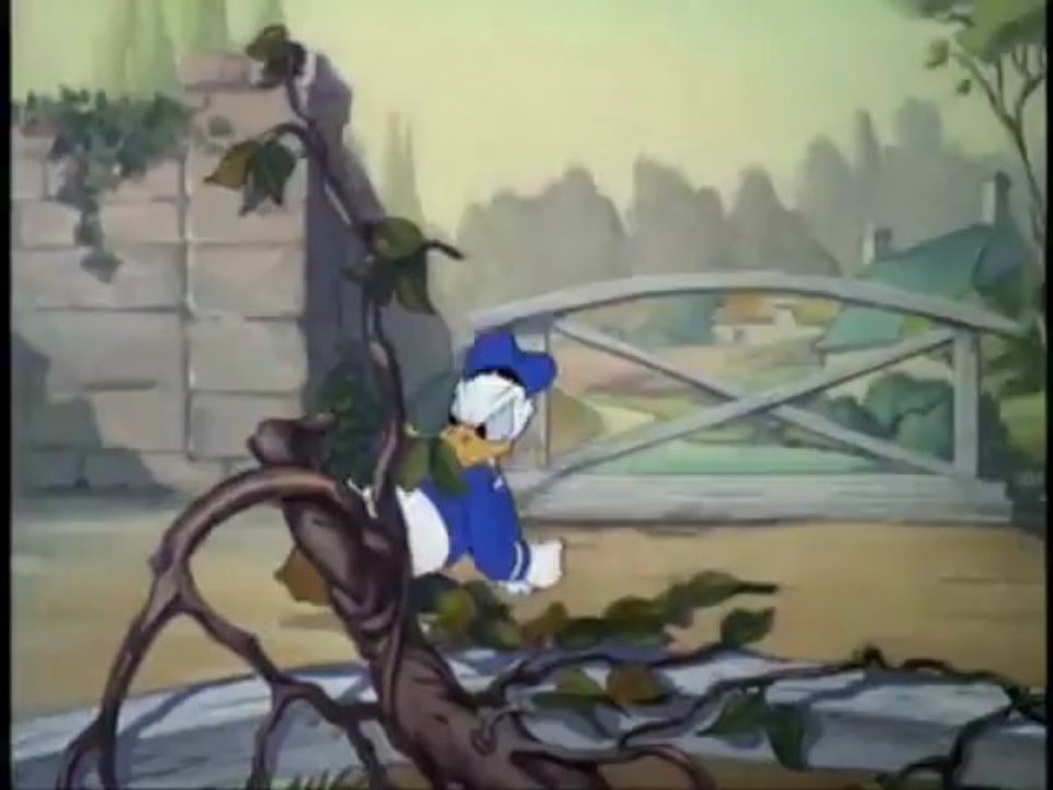 Donald Duck - The Volunteer Worker