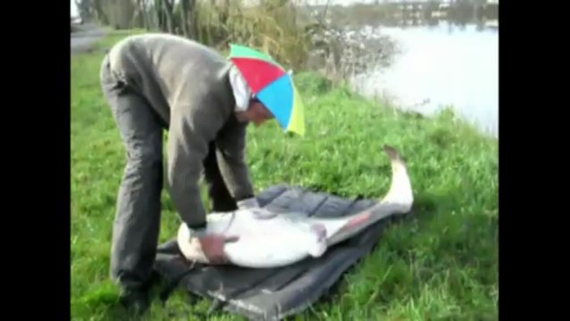 Yrag feat ito, silure mars 2013