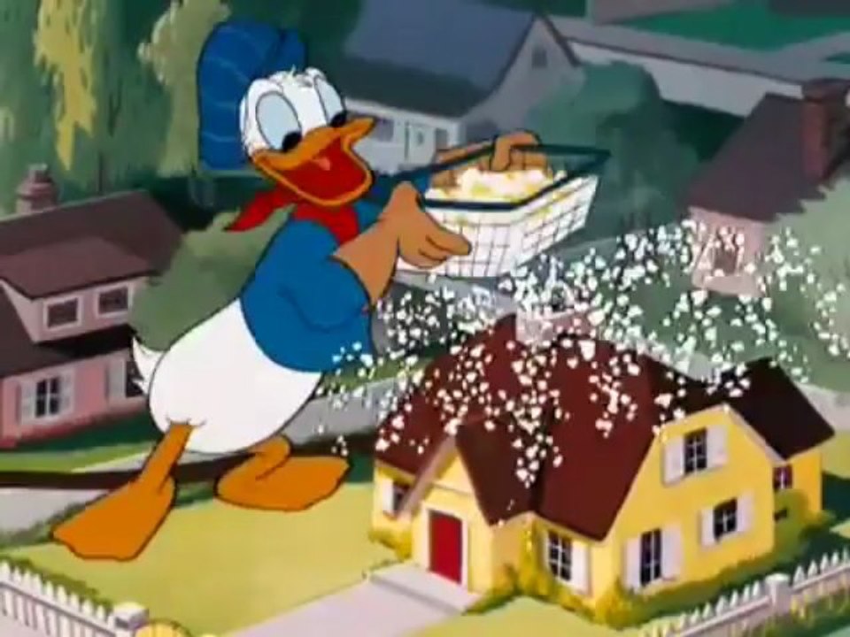 Donald Duck, Chip N Dale Out of Scale Dailymotion Video