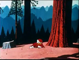 Donald Duck, Chip N Dale - Up a Tree