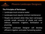 Phoenix Landscape Designers - Why Incorporating Xeriscapes Makes Sense