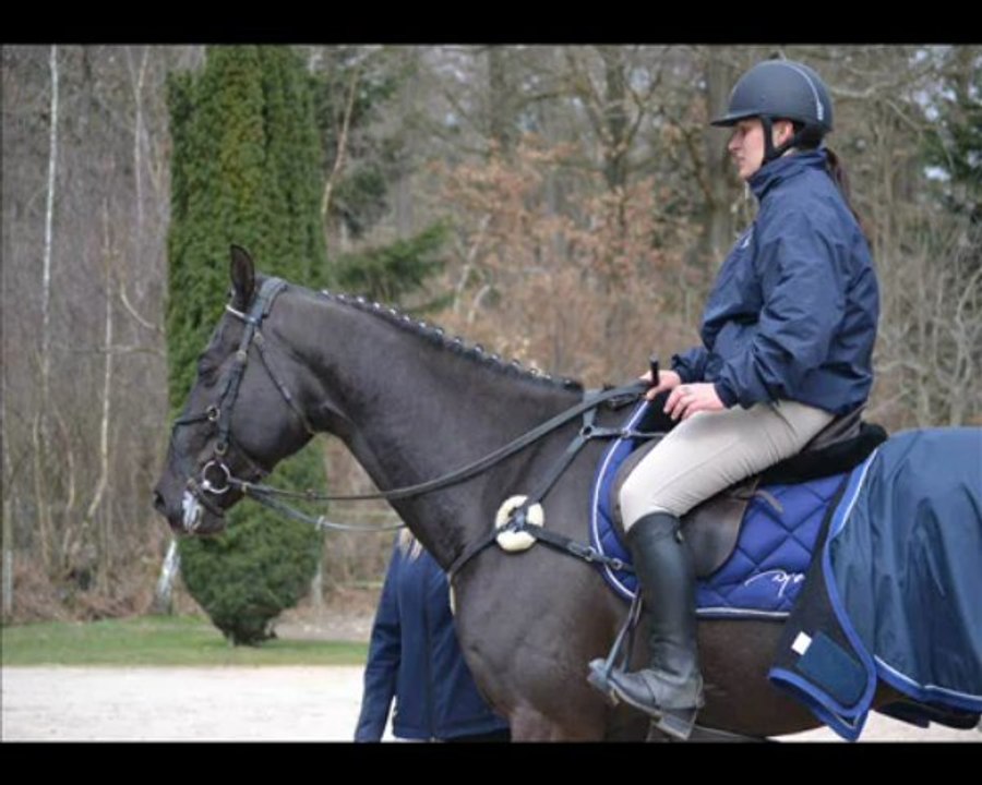 PREPA 90 FONTAINE LA SORET  31/03/13