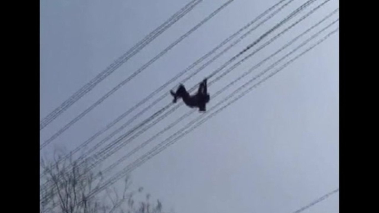 Drunk man climbs onto high voltage wires in China