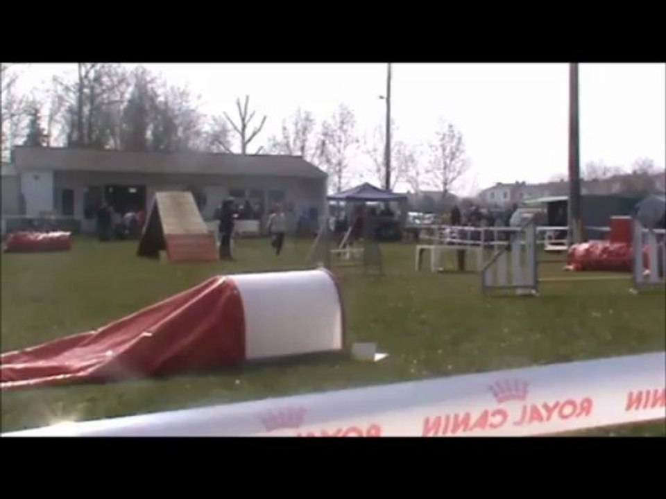 Carla & City Concours d'Agility à la Rochelle le 31 Mars 2013
