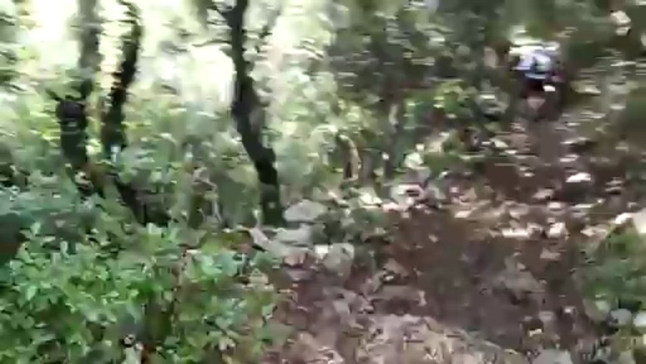 Trail Ste Baume 2013