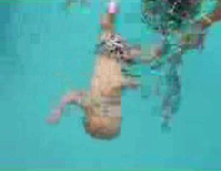 카지노룰렛웃유BAC666.com유유 룰렛룰 부안김씨웃유