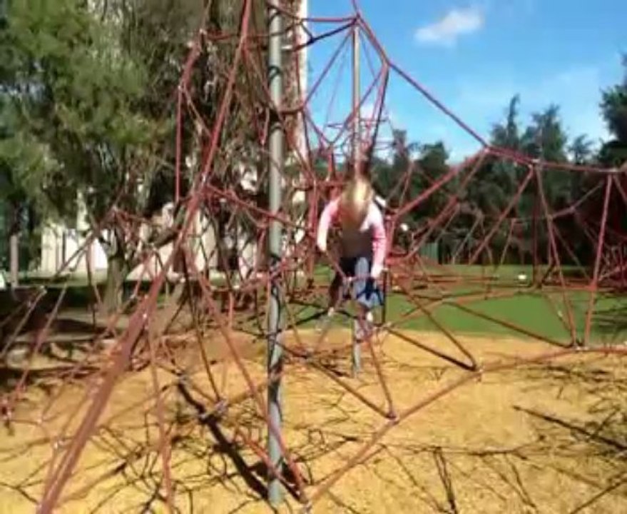 sur l'araignée