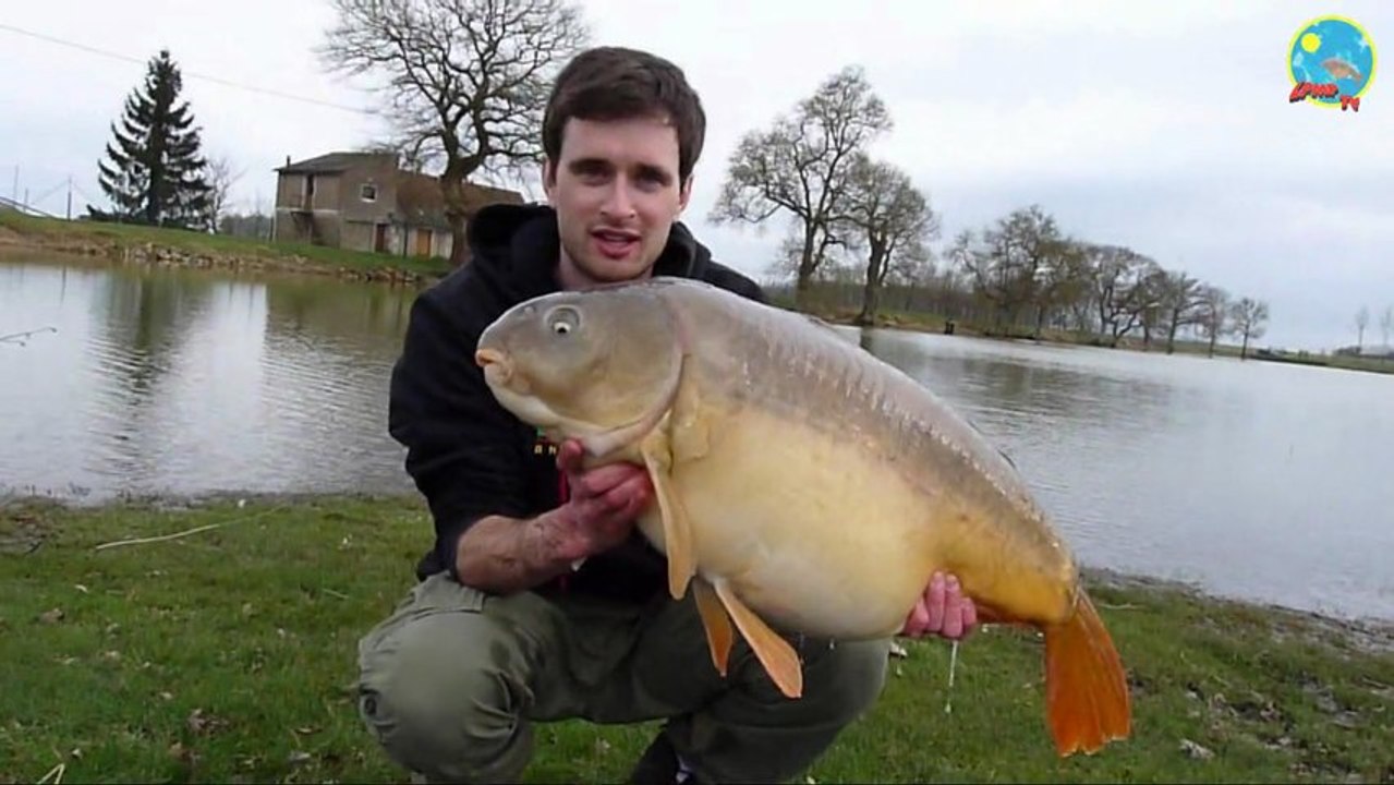 Pêche carpe Nemo de l'Archeveque 37