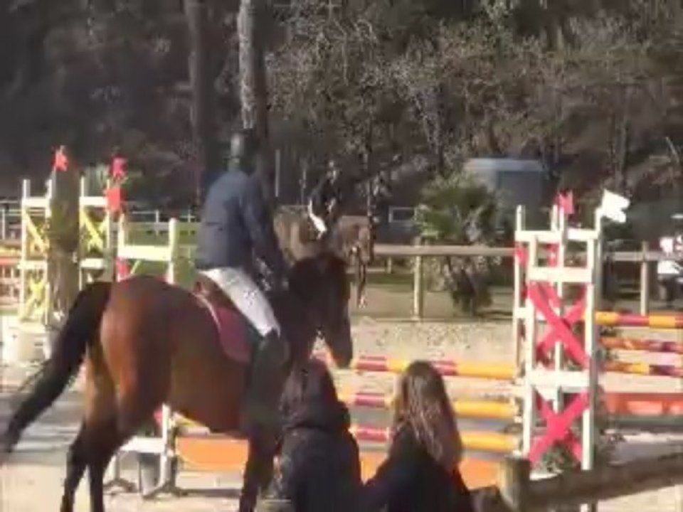 cheval cso Nougat lege prepa 110