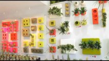 FlowerBox Maroc Murs et tableaux végétaux stabilisés d'intérieur sans entretien