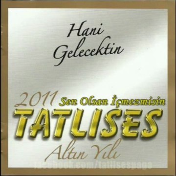 İbrahim Tatlıses - Sen Olsan İçmez misin