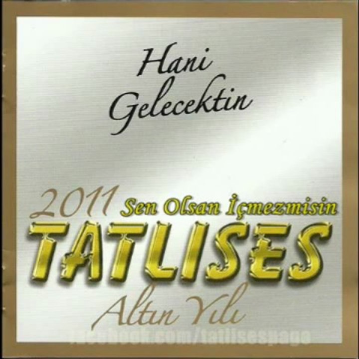 İbrahim Tatlıses - Sen Olsan İçmez misin