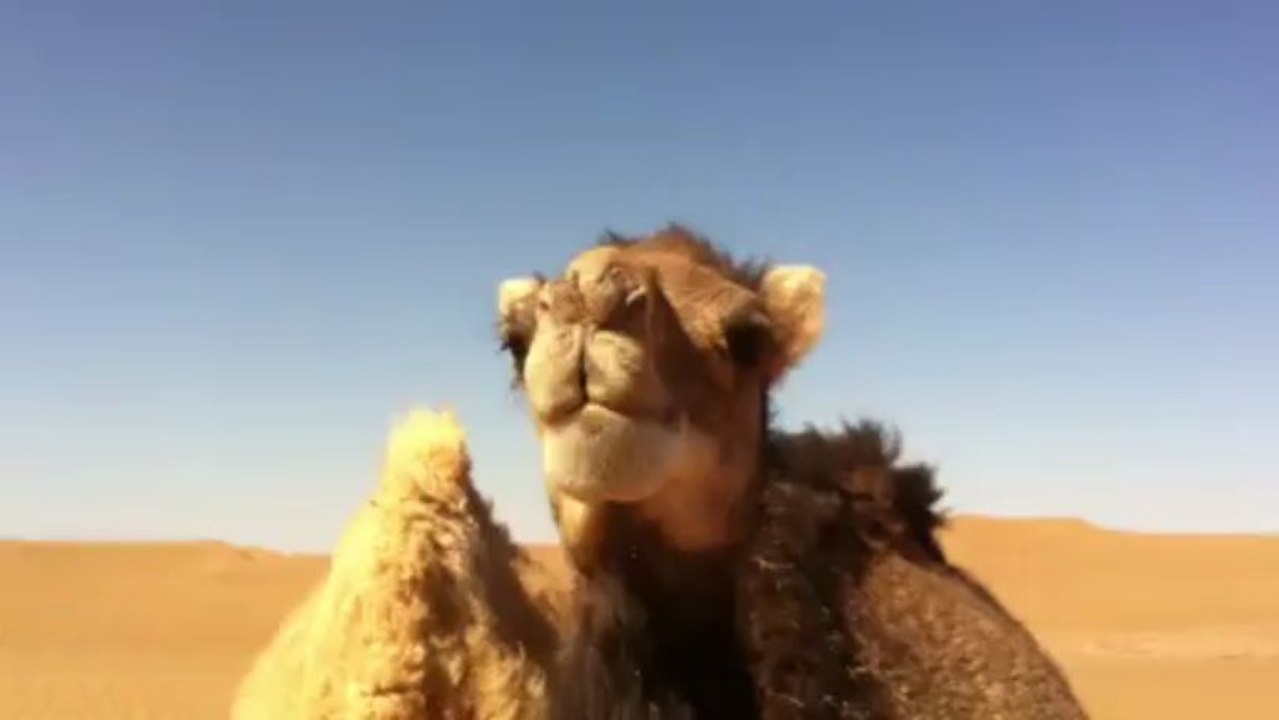 Séjour dans le désert marocain avec Marie-Lore