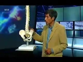 Quarks _ Co - Die Last mit dem Rücken