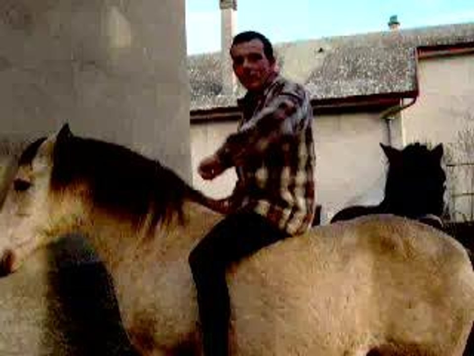 cheval nature