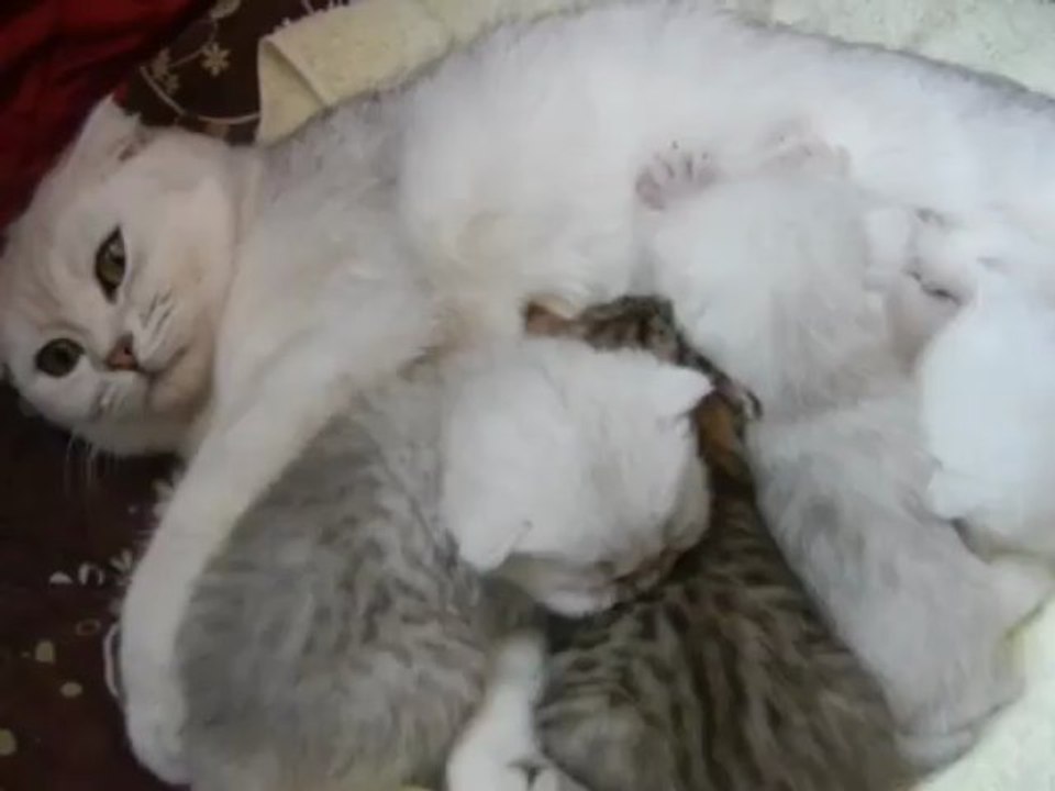 BB de Heidi le 02.04.2013 (2)