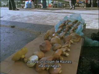 le cueilleur de champignons