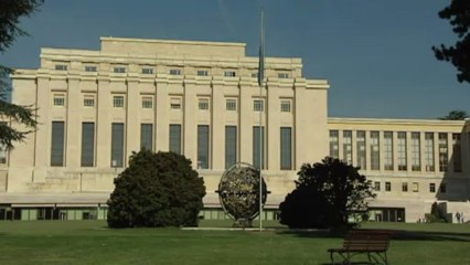 Nova gripe aviária preocupa OMS