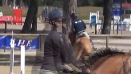 Tanagra/Fontainebleau Avril 2013