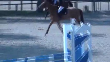 Virtuelle / Fontainebleau Avril 2013