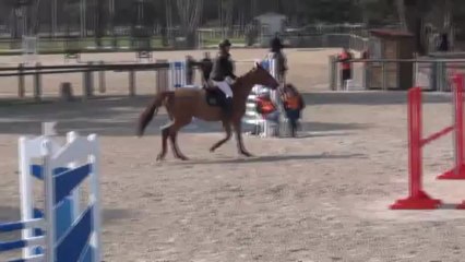 Virtuelle / Fontainebleau Avril 2013