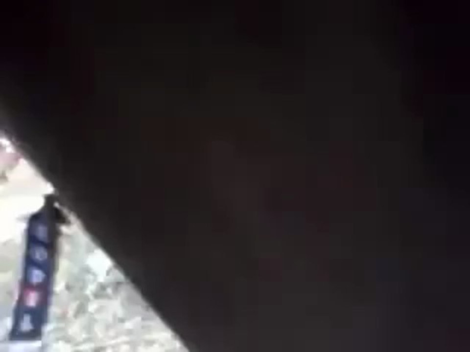 fdsgsgd (2)