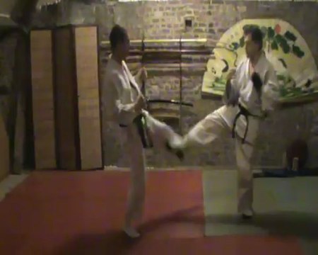 (chudan) mae geri : soto ashikubi kake uke