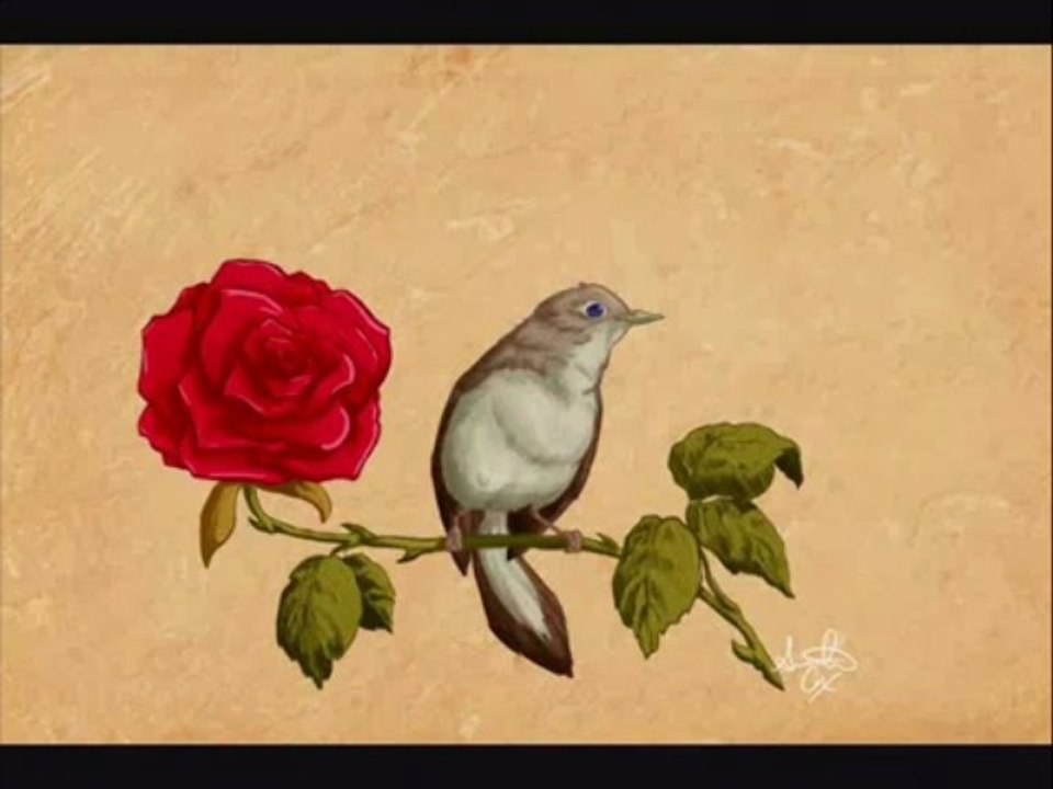 Erkan OĞUR _ Cengiz ÖZKAN - Ne Feryad Edersin Divane Bülbül