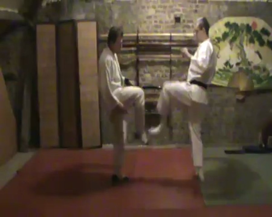 (Mae-ashi) mae geri : sokutei osae uke to geri