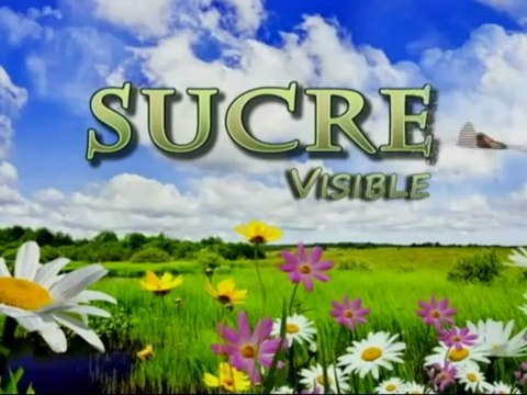 Sucre Visible Marzo 20 de 2013