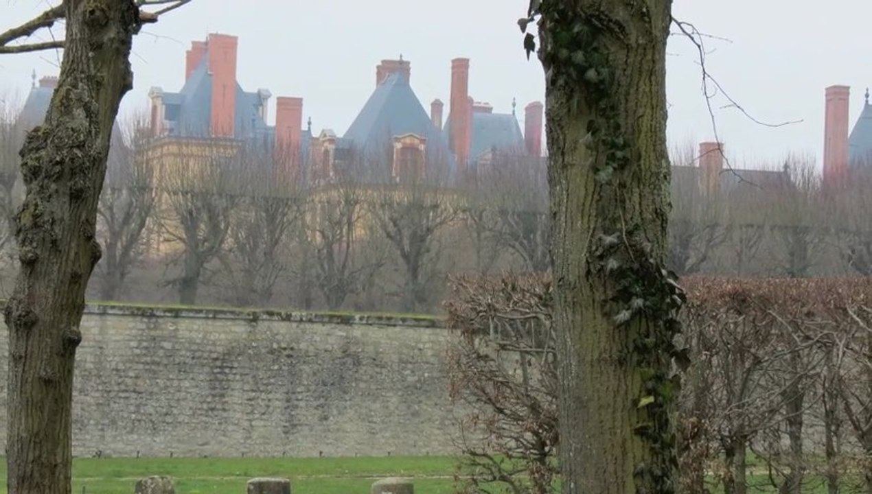 Fontainebleau mars 2013