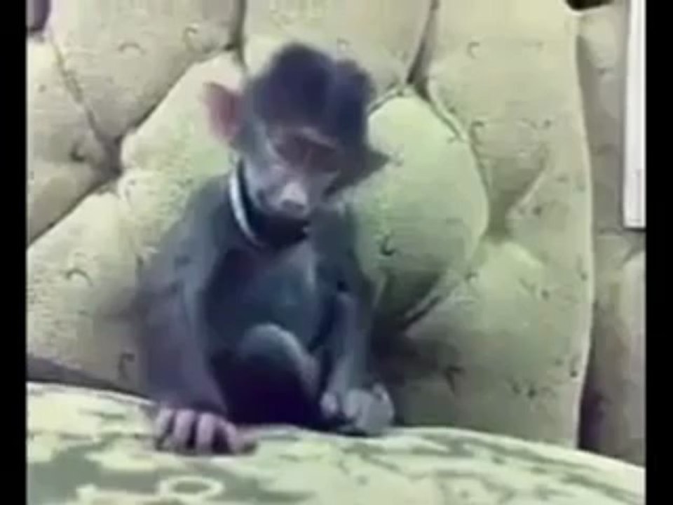 احلئ ضحكه