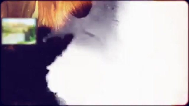 Turtle Ridge Homes & Real Estate for Sale