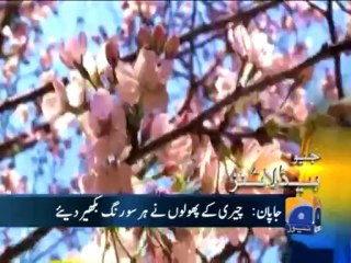 Geo Headlines-03 Apr 2013-1000